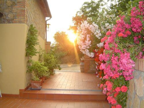 Agriturismo Colombaiolo П'єнца Екстер'єр фото