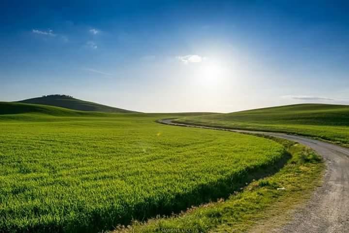 Agriturismo Colombaiolo П'єнца Екстер'єр фото